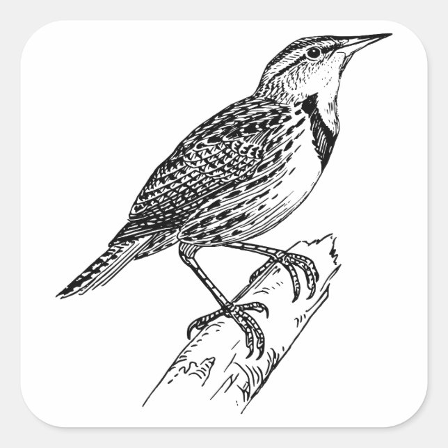 Carré Sparrow-Great Sparrow Vêtements/Sparrow Sticker (Devant)