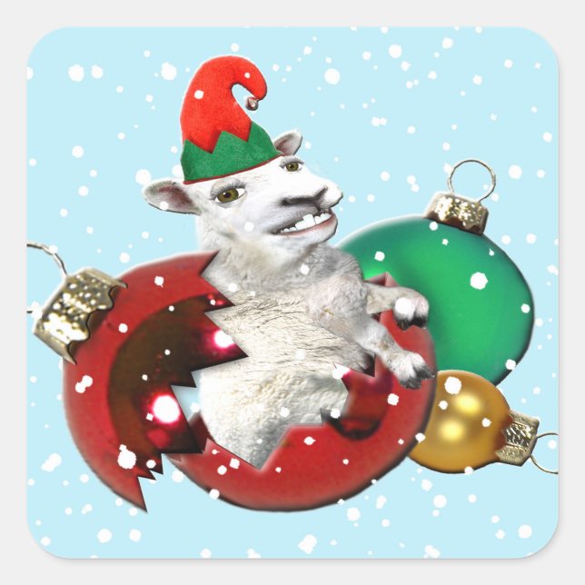 Carré Sticker à bille cassé en festin (Devant)