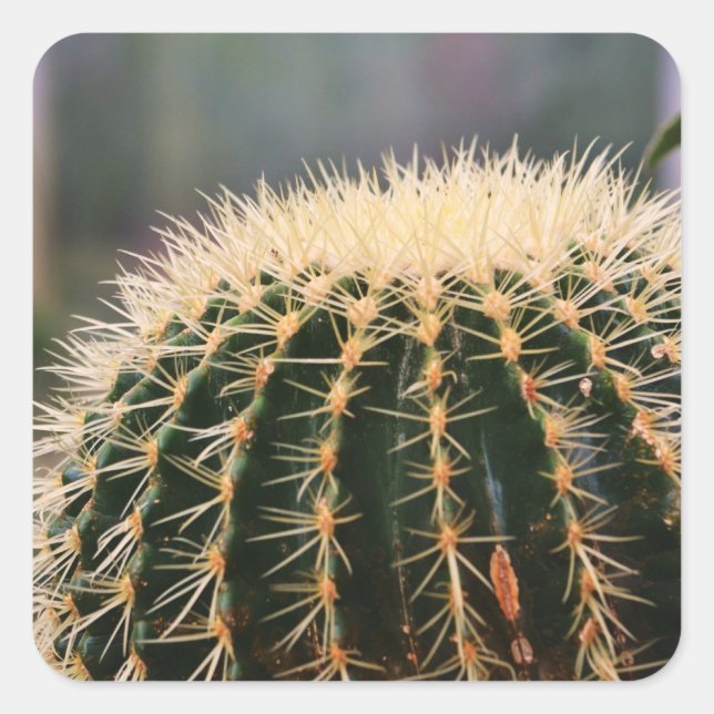 Carré Sticker à cactus (Devant)