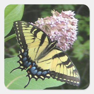 Carré Sticker à papillon jaune