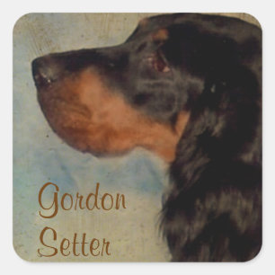 Carré Sticker à Setter Sweet Gordon