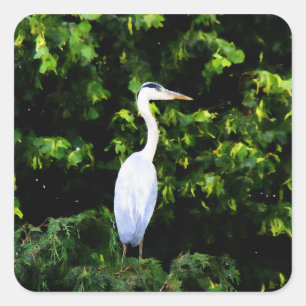 Carré Sticker aux oiseaux blancs