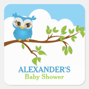 Carré Sticker Baby shower pour bébé doux hibou garçon