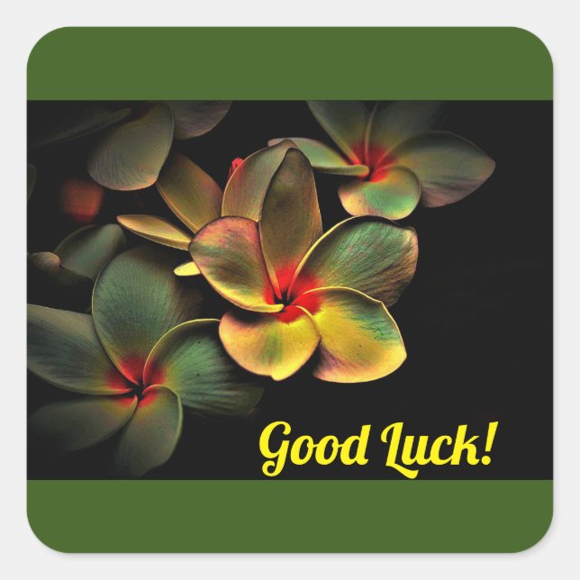 Carré Sticker Bonne Chance ! (Devant)