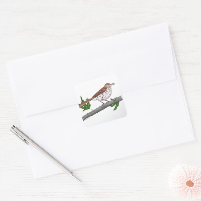 Carré Sticker Brown Thrasher (Enveloppe)
