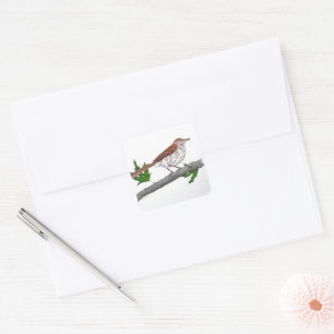 Carré Sticker Brown Thrasher