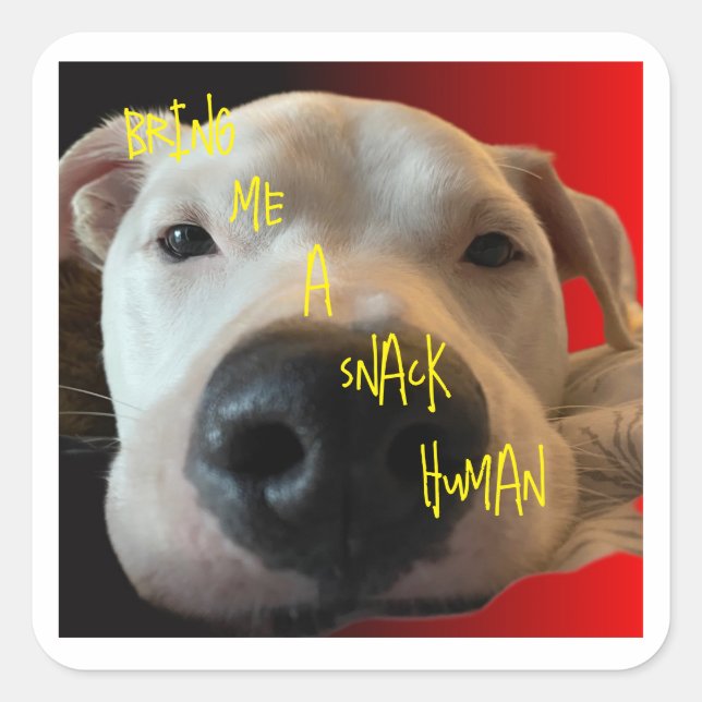CARRÉ STICKER CHIEN FUNNY (Devant)