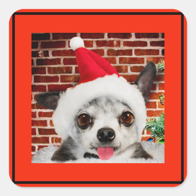 CARRÉ STICKER CHIHUAHUA À Santa hat (Devant)