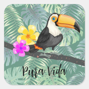 Carré Sticker de design Tropical Toucan Pura Vida