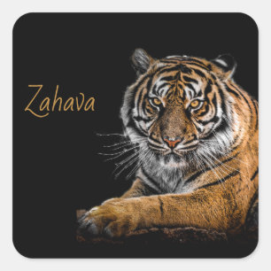 Carré Sticker de Golden Tiger