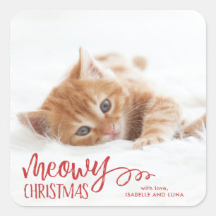 Carré Sticker de Noël pour animaux de compagnie Meowy