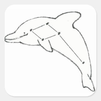 Carré Sticker DelphinusAirways