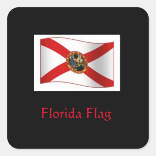 Carré Sticker Drapeau Floride
