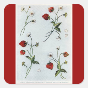 Carré Sticker Edwardian Strawberries