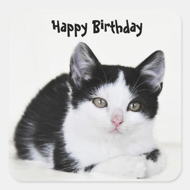 Carré Sticker en chaton noir blanc réfléchi (Devant)
