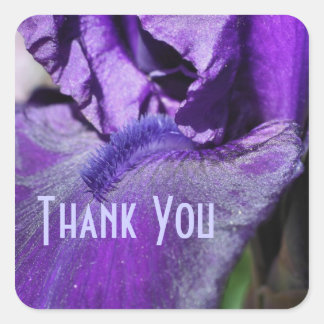 Carré Sticker en Merci de Fleur Pétale Iris Violet