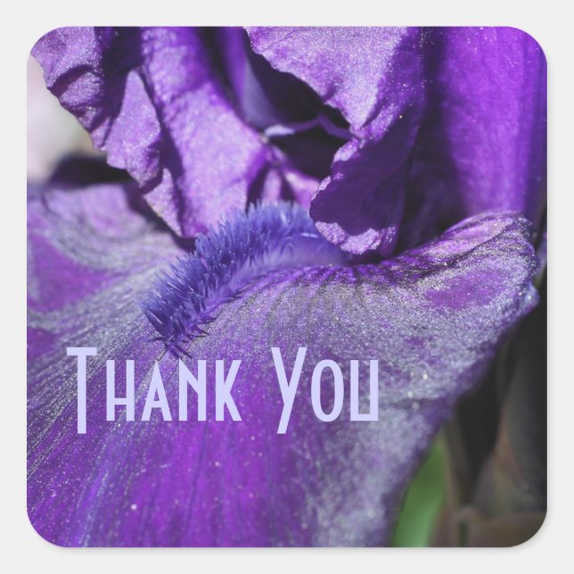 Carré Sticker en Merci de Fleur Pétale Iris Violet (Devant)
