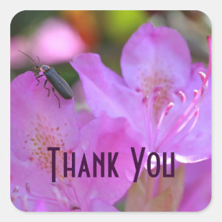 Carré Sticker en Merci d'insectes à fleurs d'azalée rose