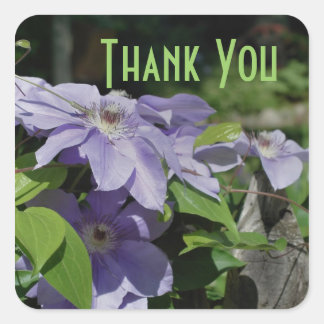 Carré Sticker en Merci violet Clematis
