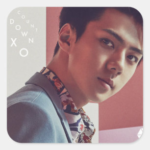 Carré Sticker EXO Sehun
