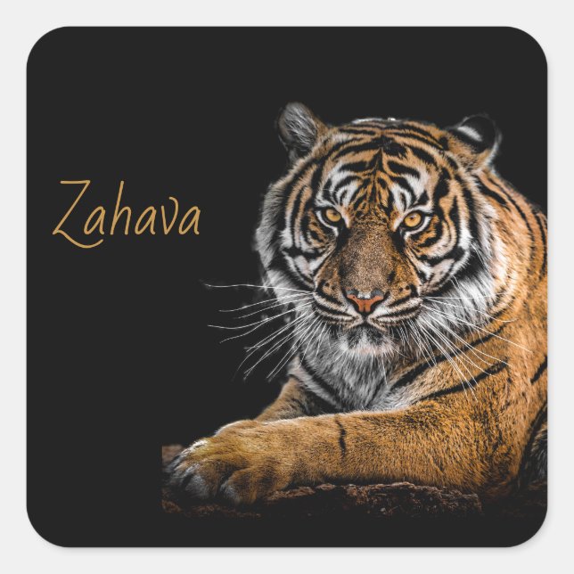 Carré Sticker Golden Tiger (Devant)