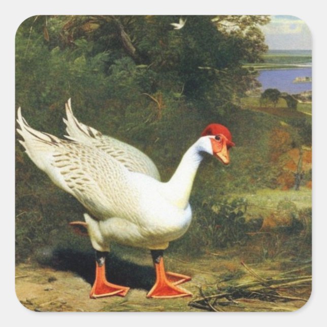 Carré Sticker IGF (Devant)