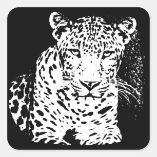 Carré Sticker Leopard Portrait Noir Et Blanc