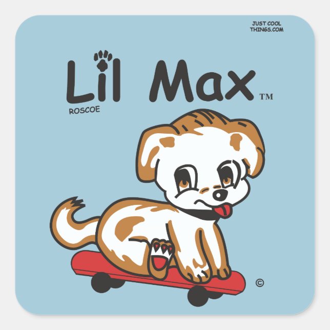 Carré Sticker Lil Max (Devant)