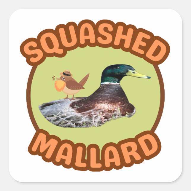 Carré Sticker Mallard Sticker Sticker À Oiseaux Lédés (Devant)