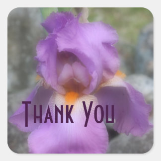 Carré Sticker Merci Fleur Iris Lavender