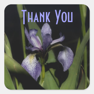 Carré Sticker Merci Fleur Iris Violet