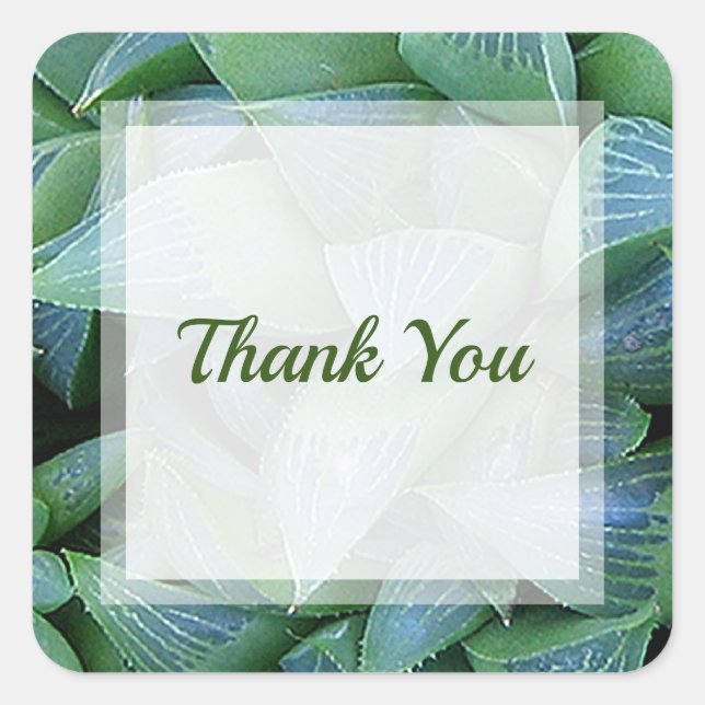 Carré Sticker Merci Plante Succulent de Green Haworth (Devant)