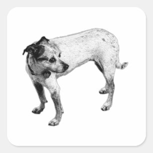 Carré Sticker Monochrome Terrier Mix