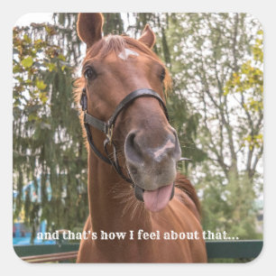 Carré Sticker photo Drôle Cheval Sticker