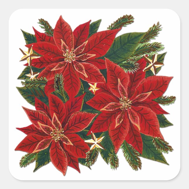 Carré Sticker Poinsettia Rouge (Devant)