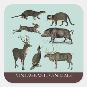 Carré Sticker pour animaux sauvages vintages