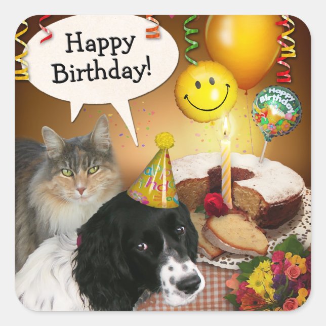 Carré Sticker pour chat et chien d'anniversaire (personn (Devant)