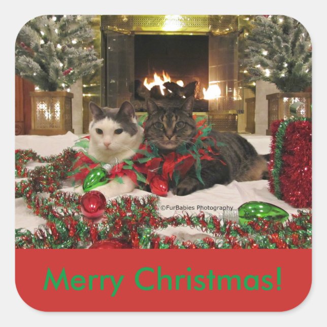 Carré sticker pour chats de Noël (Devant)