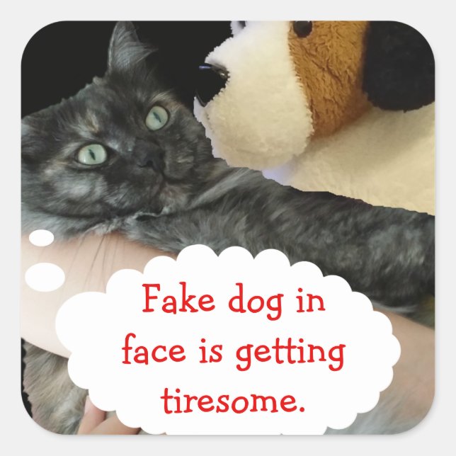 Carré Sticker pour chats détendu par RoseWrites (Devant)