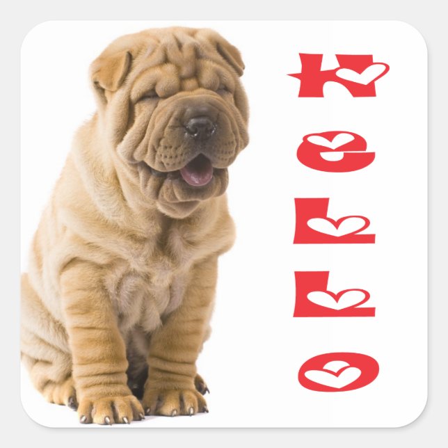Carré Sticker pour chien de chiot / Sceau pour chien de  (Devant)