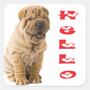 Carré Sticker pour chien de chiot / Sceau pour chien de