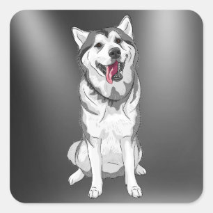 Carré Sticker pour chien Husky