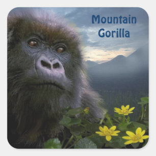 Carré Sticker pour la faune africaine de Mountain Gorill
