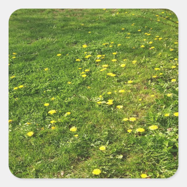 Carré Sticker pour l'herbe et les Dandelions (Devant)