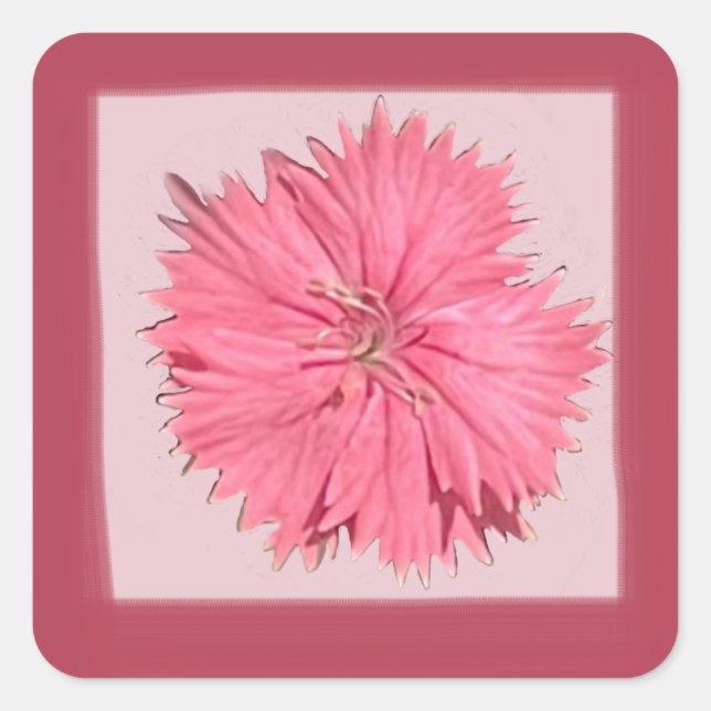 Carré Sticker rose Chine (Devant)