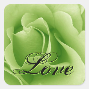 Carré Sticker Rose Mariage Lime Green LOVE