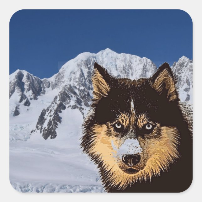 Carré Sticker Sibérien Husky (Devant)