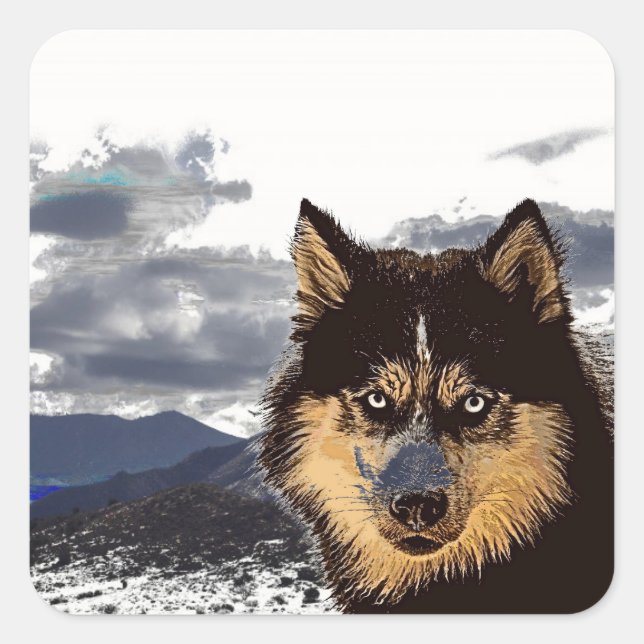 Carré Sticker Sibérien Husky (Devant)
