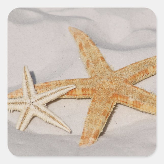 Carré Sticker Starfish (Devant)