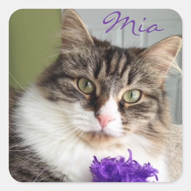 Carré Sticker Sweet Mia (Devant)